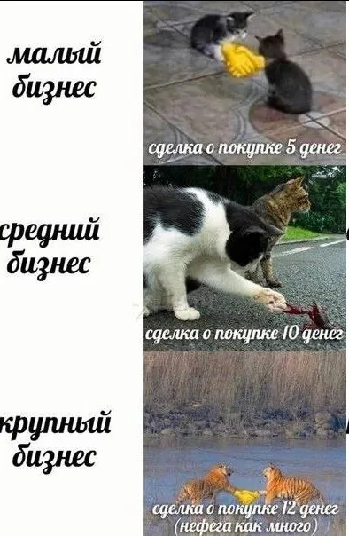 Малый, средний и крупный бизнес