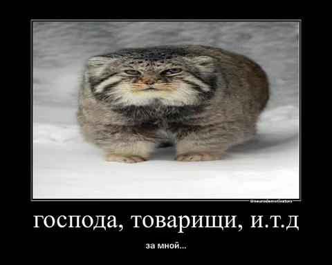 Господа, товарищи, и так далее