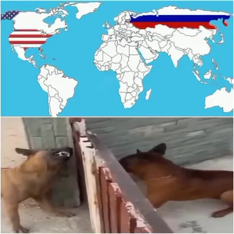 Russia and America Barking Across the Border