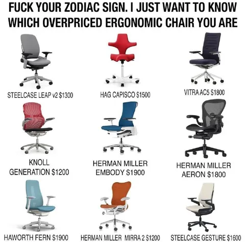 Overpriced Ergonomic Chair Zodiac