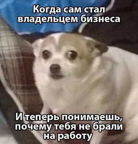 Сам стал владельцем бизнеса