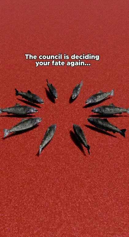 The Fish Council Decides Your Fate