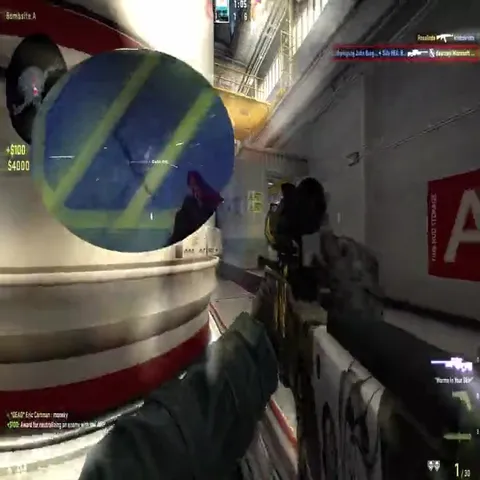Кот и ослепительный раунд в CS:GO