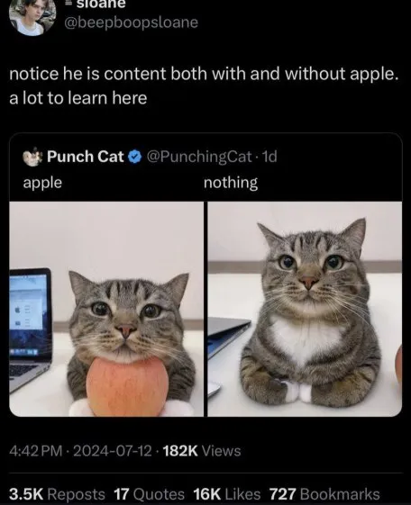 Content With or Without Apple
