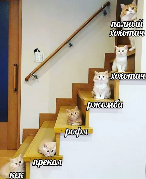 Лестница от кека до полного хохотача