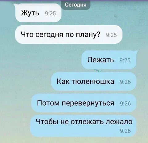 План на сегодня — лежать