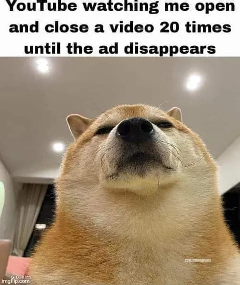 YouTube Ad Disappears After Reopening