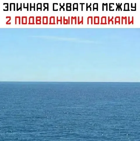 Эпичная схватка подводных попок