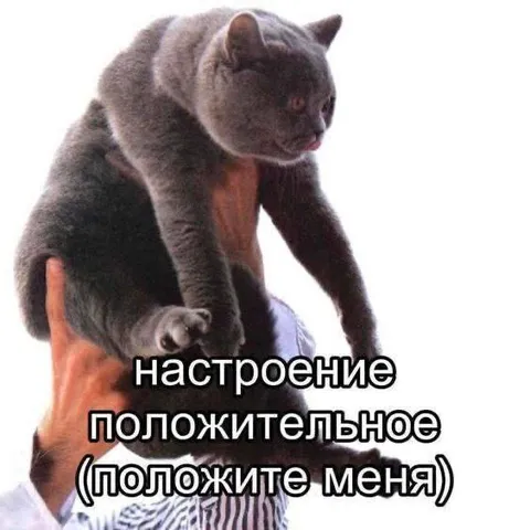 Настроение положительное