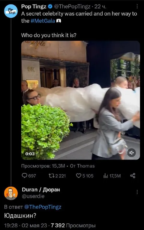 Secret Celebrity at the Met Gala