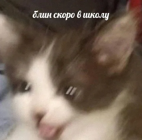 Блин скоро в школу