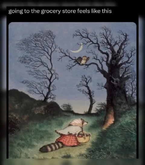 Going to the Grocery Store