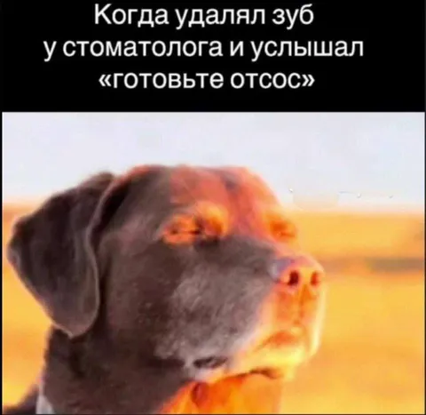 Когда стоматолог сказал «отсос»