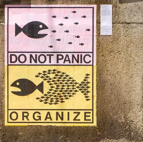 Do Not Panic, Organize Fish