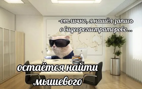 Найти мышевого по записи