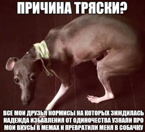 Причина тряски и мемные вкусы