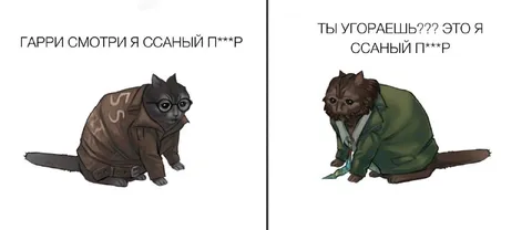 Гафри и ссаный п***р