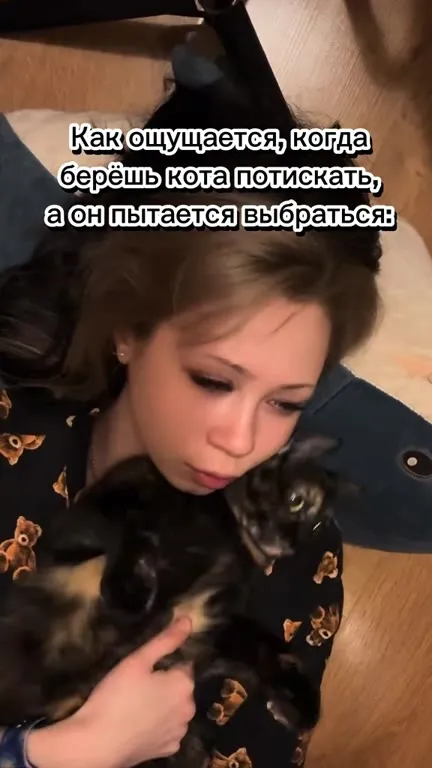 Кот пытается вырваться из объятий