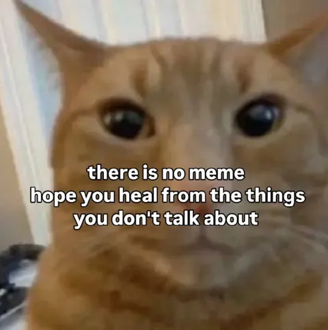 There Is No Meme Cat