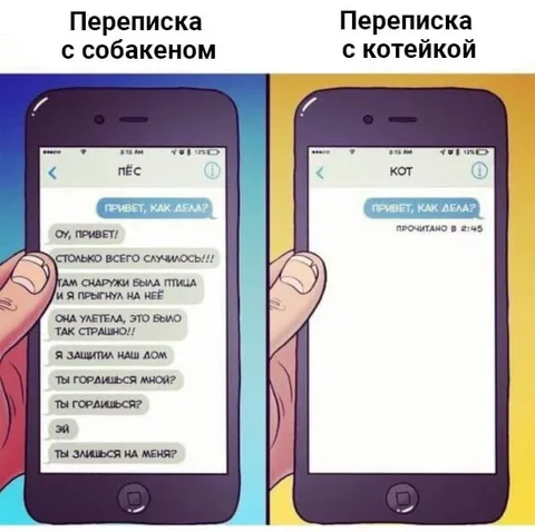 Переписка с собакеном и котейкой