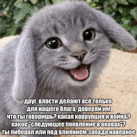 Доверяй властям, друг