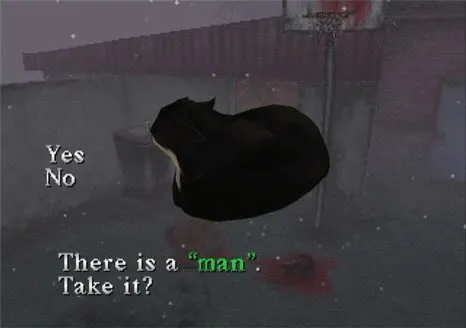 Cat Refuses the Man