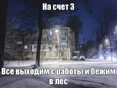 На счёт три бежим в лес
