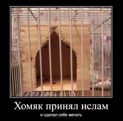 Хомяк сделал себе мечеть