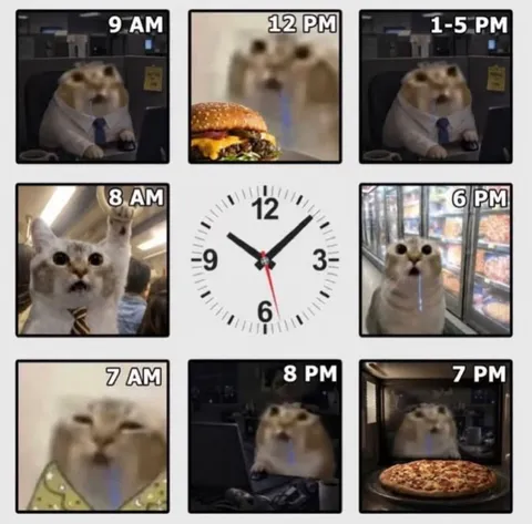 Hamster Workday Meal Schedule
