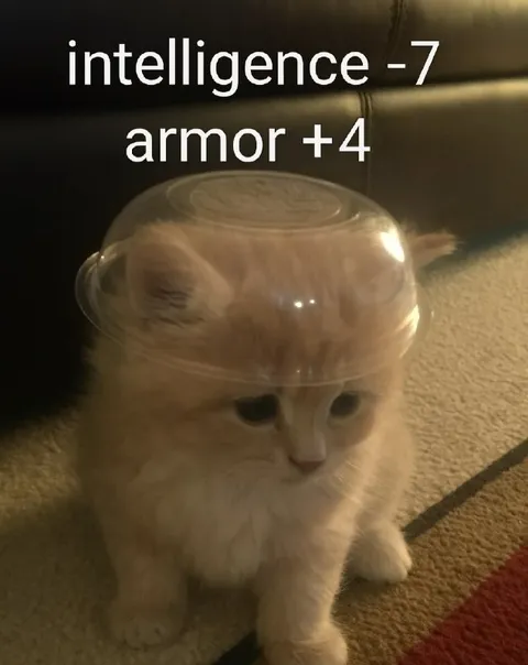 Kitten Gains Armor