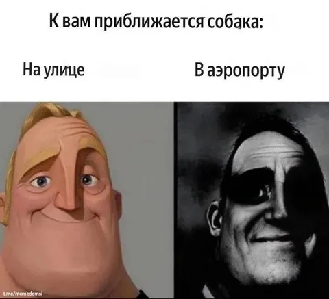 Собака приближается к вам