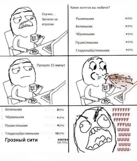 Грозный сити выбирает котяток