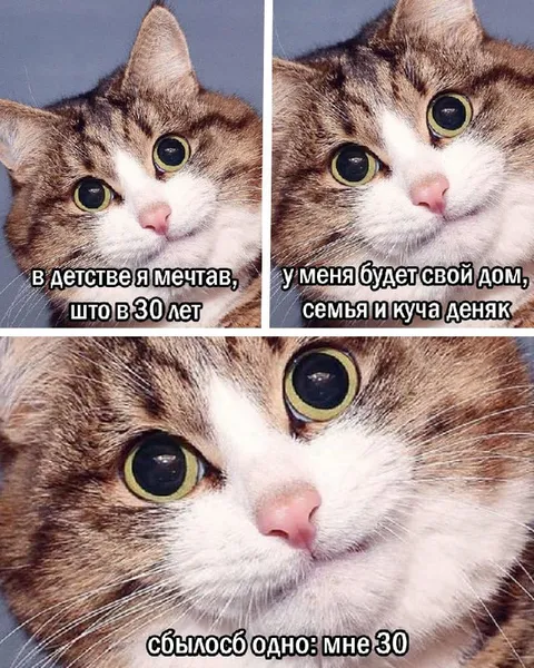 Мне 30, а мечты не сбились
