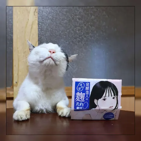 猫と麹たれの真顔