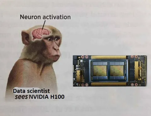 Data Scientist Sees NVIDIA H100