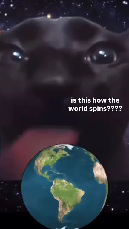Dog Watches the World Spin