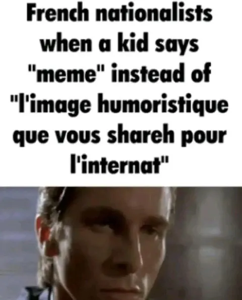 French Nationalists Correct Meme Terminology