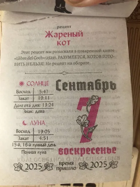 Рецепт жареного кота