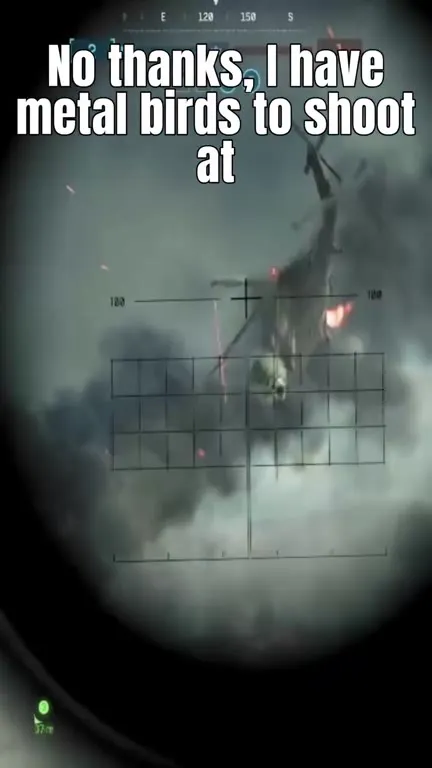 No Thanks, I Have Metal Birds