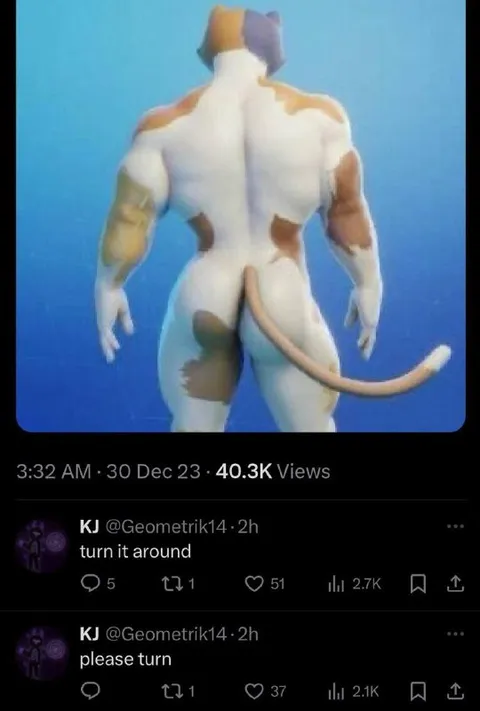 Please Turn Around Cat