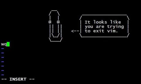 Trying to Exit Vim