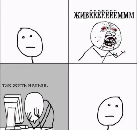 Так жить нельзя