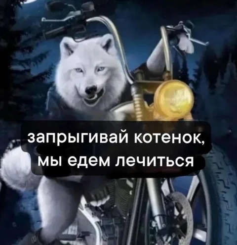 Волк едет лечиться