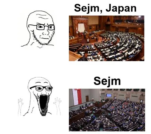 Sejm Japonii kontra Sejm