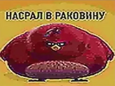 Насрал в раковину