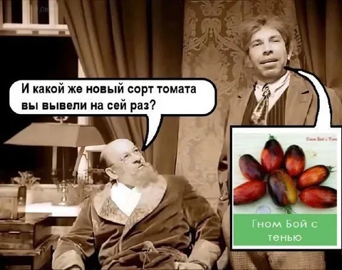 Гном Бой с Тенью