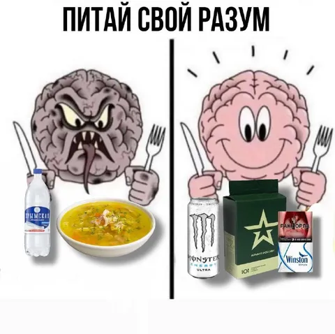 Питай свой разум
