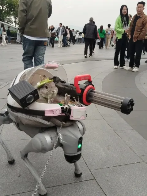 Tiny Robot With Gatling Gun