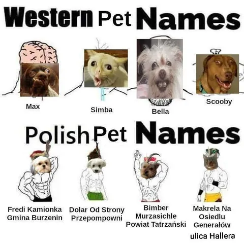 Polish Pet Names