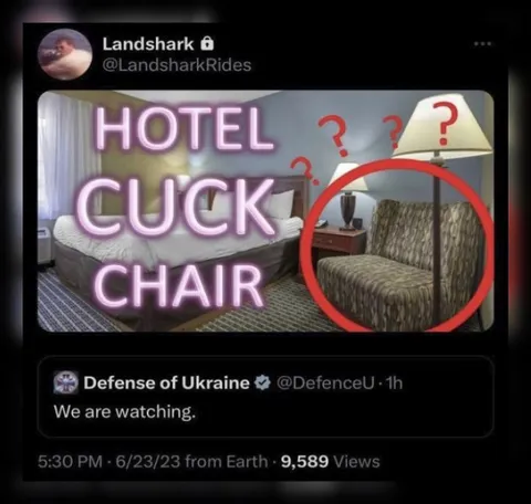 Hotel Cuck Chair